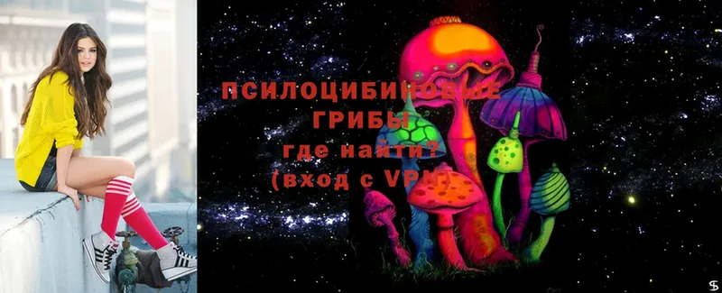 Псилоцибиновые грибы MAGIC MUSHROOMS  цены наркотик  Островной 